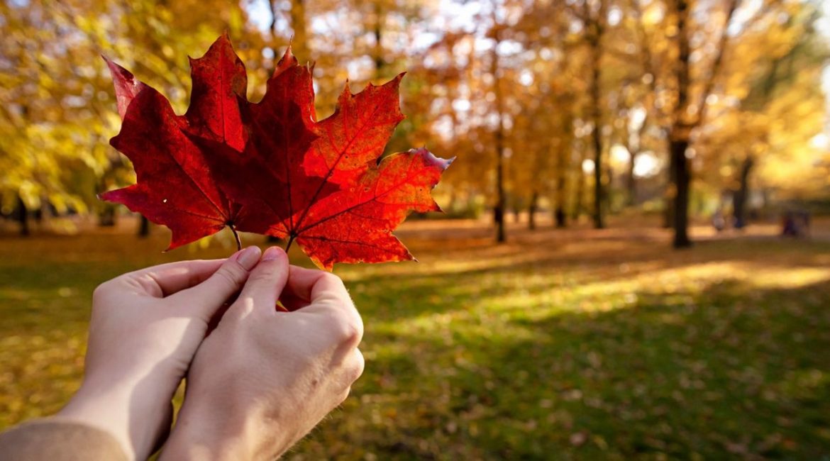 07 LÝ DO KHIẾN NGƯỜI NHẬP CƯ CHỌN CANADA LÀ NGÔI NHÀ THỨ HAI