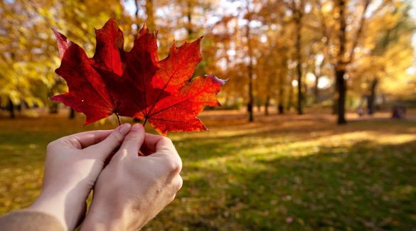 07 LÝ DO KHIẾN NGƯỜI NHẬP CƯ CHỌN CANADA LÀ NGÔI NHÀ THỨ HAI